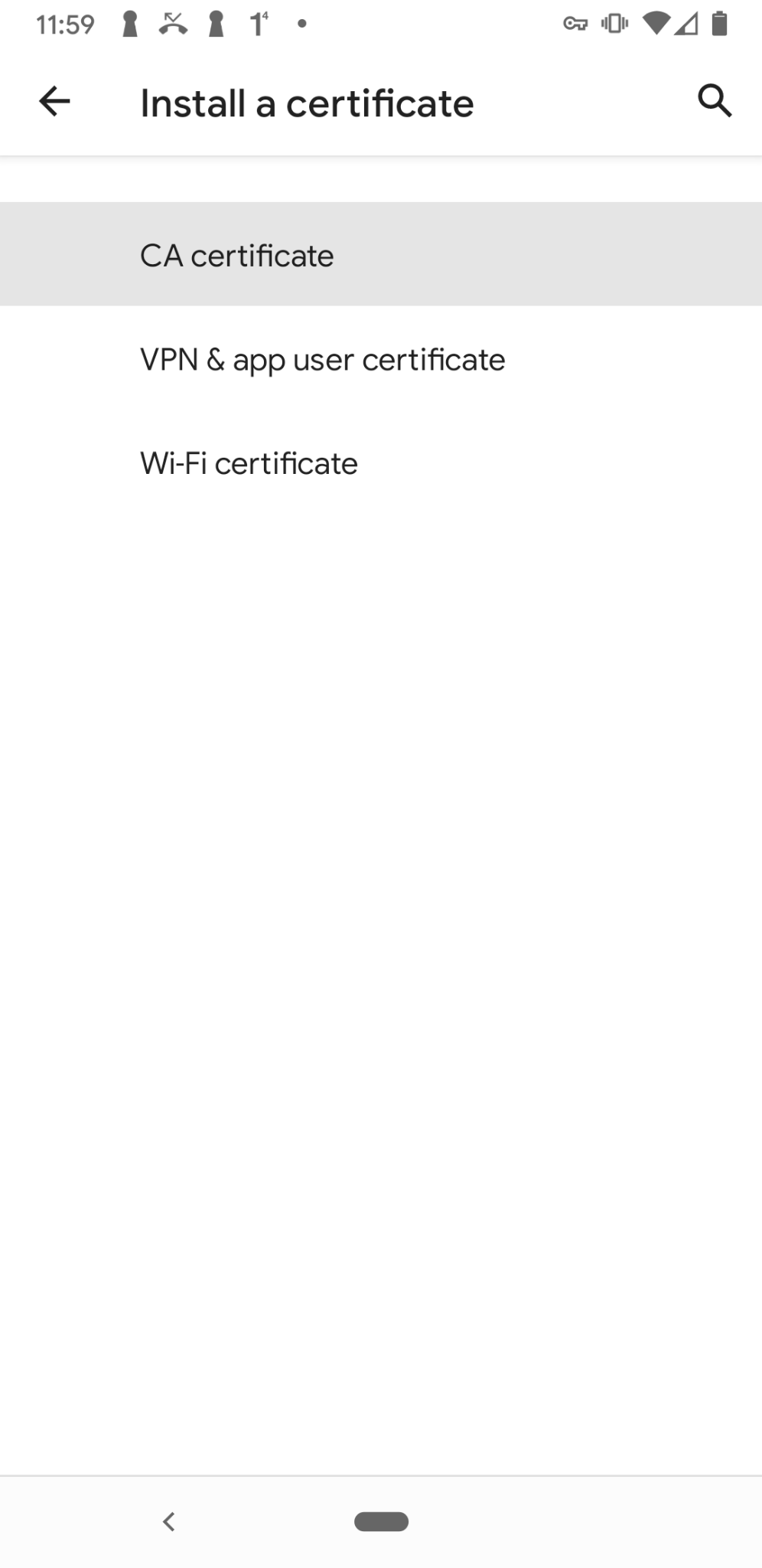 Android Install a certificate* screen