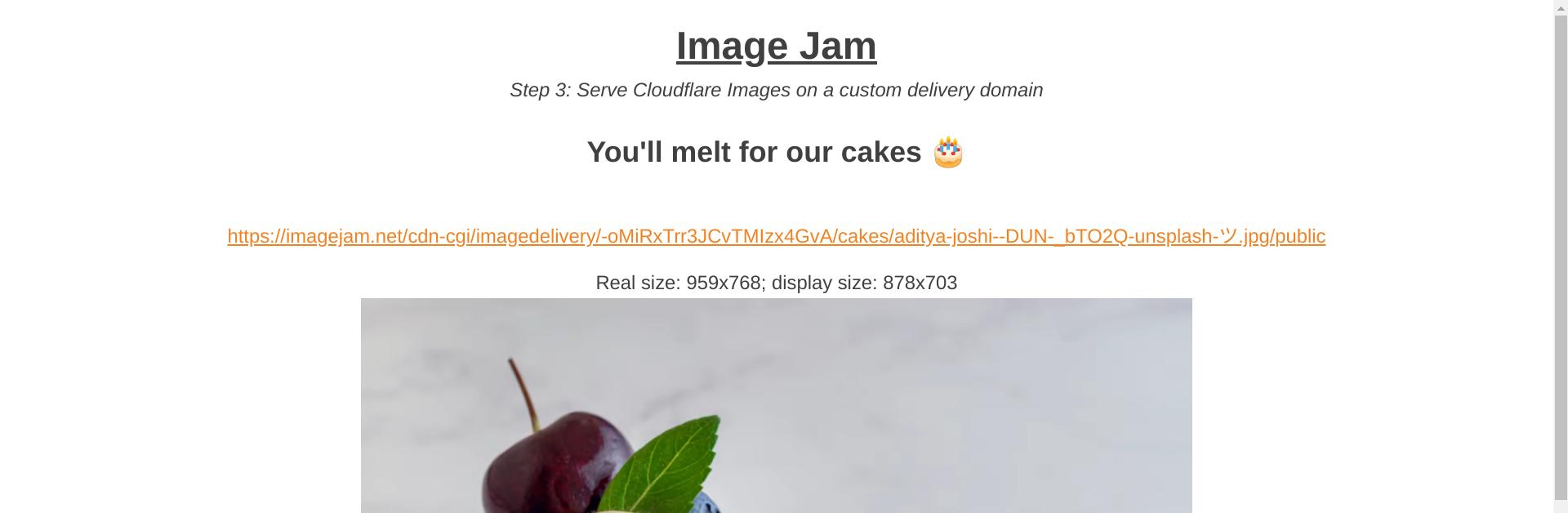 The URL for the image shows that it is being served from a custom domain